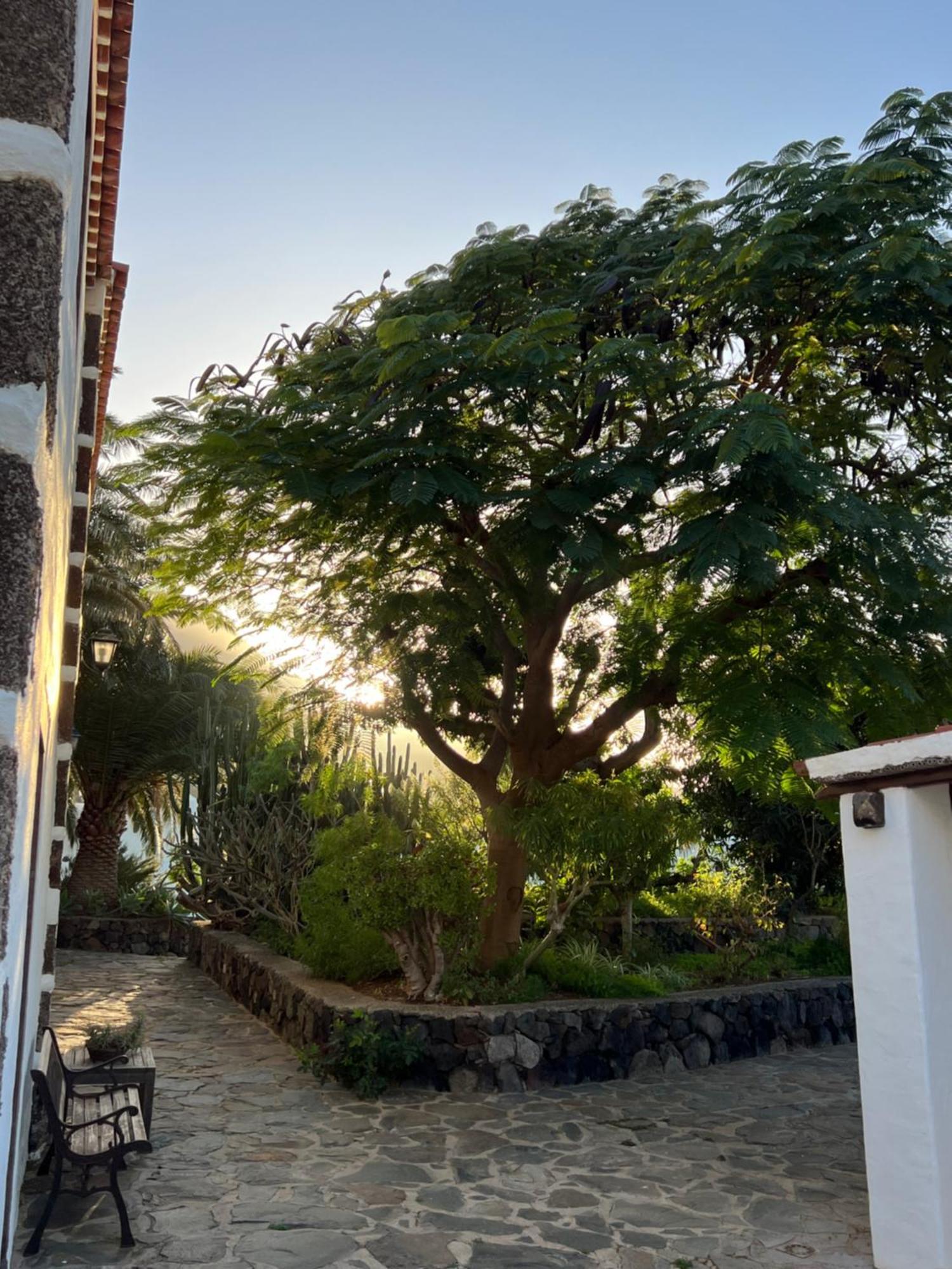 Casa Rural La Mareta Agaete  Exterior foto