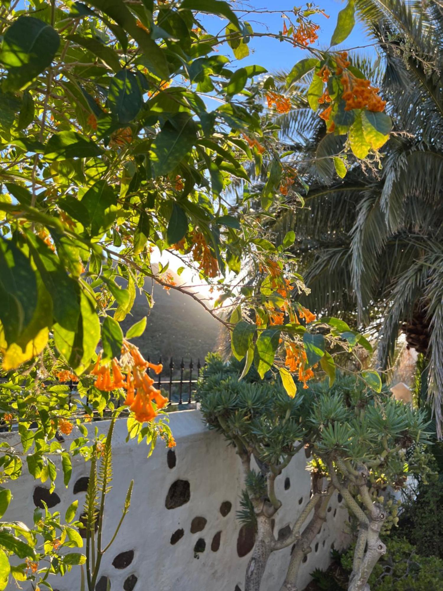 Casa Rural La Mareta Agaete  Exterior foto